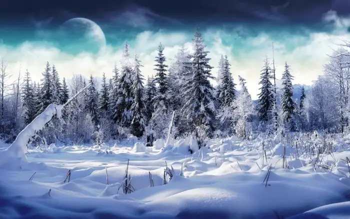 Winter Forest Planet In Sky Background HD Wallpaper Free