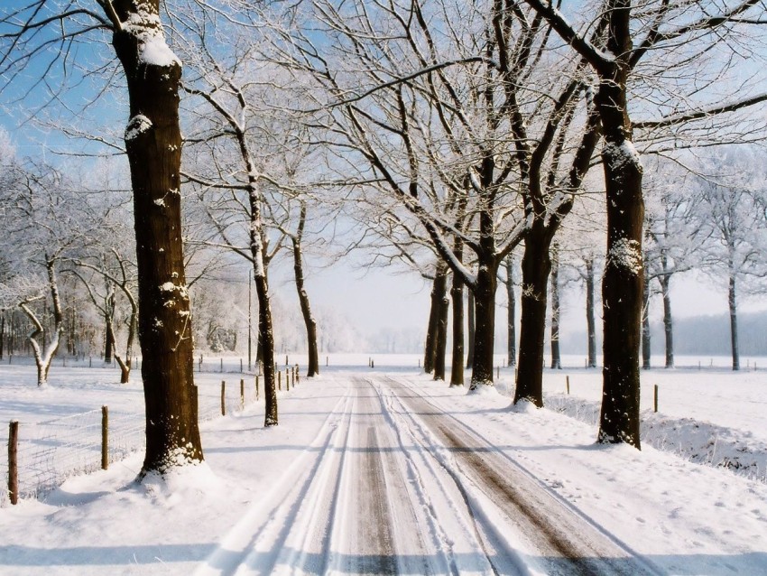 Winter Forest Road Background Full HD Photo images