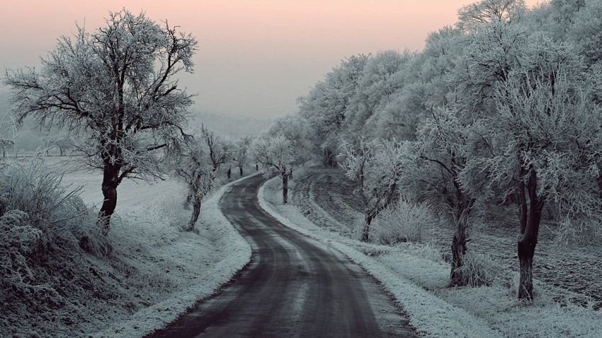 Winter Forest Road Background Full HD Photo images