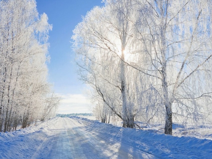 Winter Forest Road Background Full HD Photo images