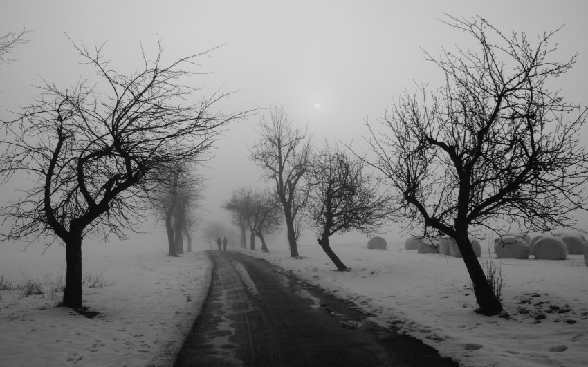 Winter Forest Road Background Full HD Photo Picture