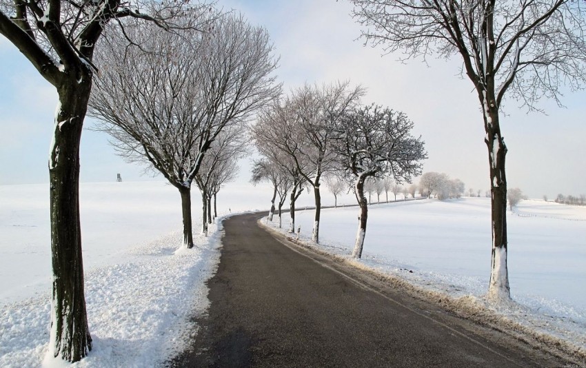 Winter Forest Road Background Full HD Photo Picture