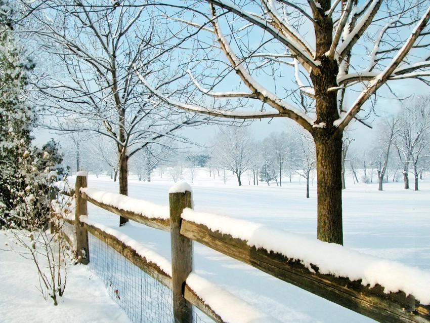 Winter Forest Road Background Full HD Photo Picture