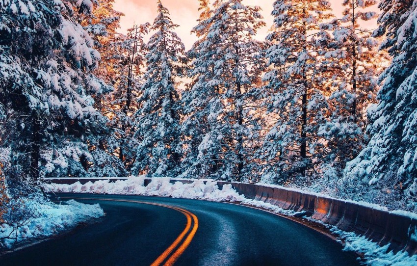 Winter Forest Road Background Full HD Photo Picture