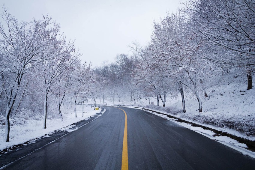 Winter Forest Road Background  HD Download Free