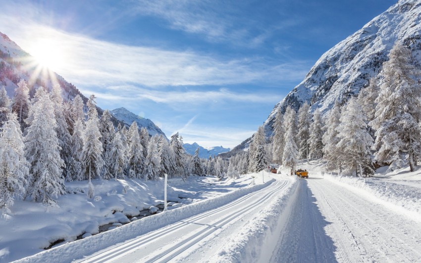 Winter Forest Road Background  HD Download Free