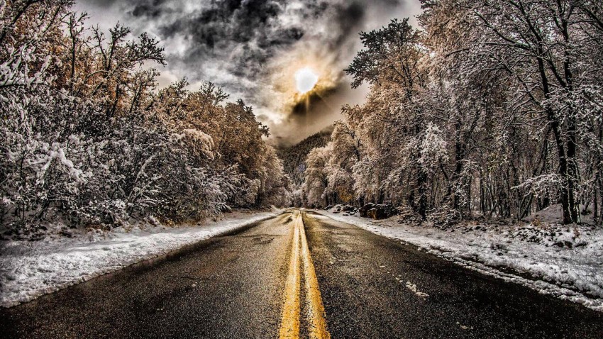 Winter Forest Road Background  HD Download Free