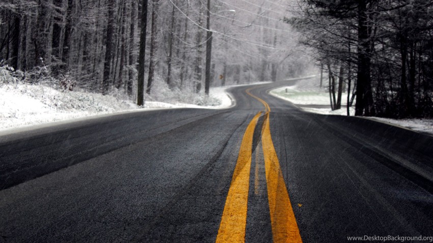 Winter Forest Road Background  HD Download Free