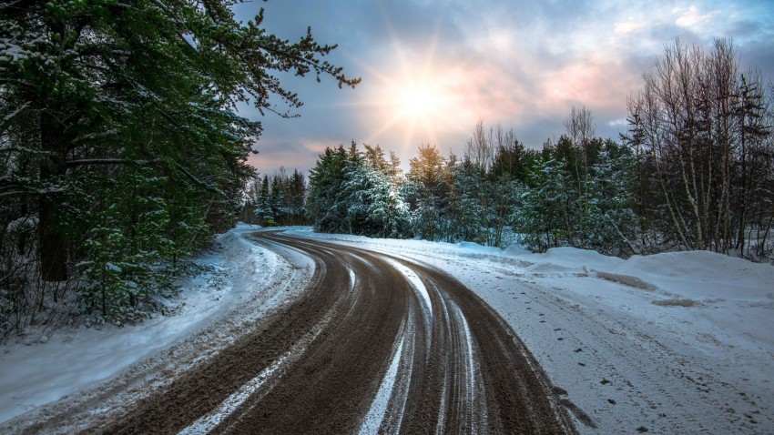 Winter Forest Tree Road Background Full HD