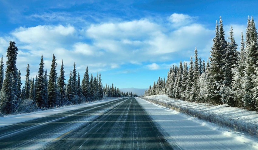 Winter Forest Tree Road Background Full HD