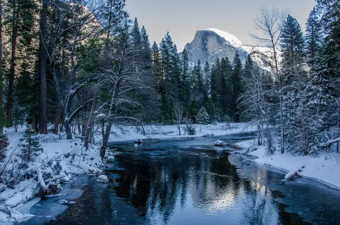 Winter Forzen Lake Forest Background HD Wallpaper Free