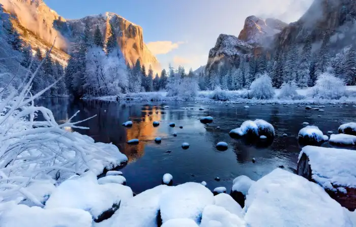 Winter Forzen Lake Forest Background HD Wallpaper Free