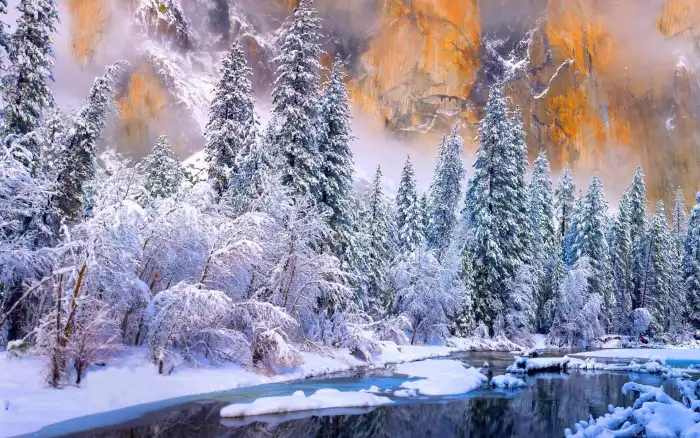 Winter Frozen Sea Forest Background HD Wallpaper Free