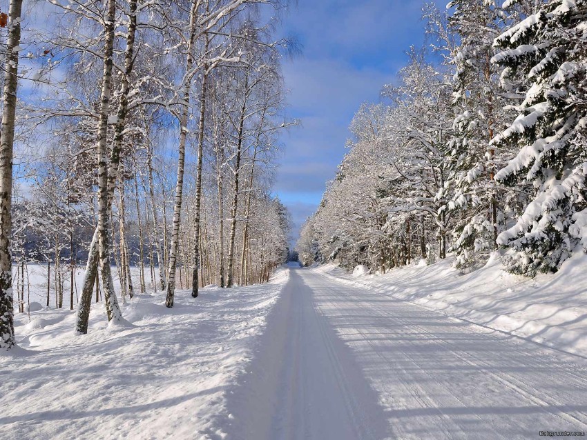 Winter Ice Road Background Full HD Download Free