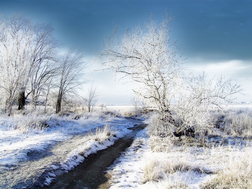 Winter Ice Road Background Full HD Download Free