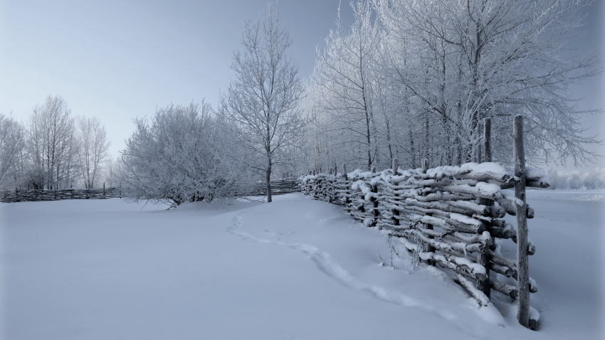 Winter Ice Snow Road Background Full HD Download Free