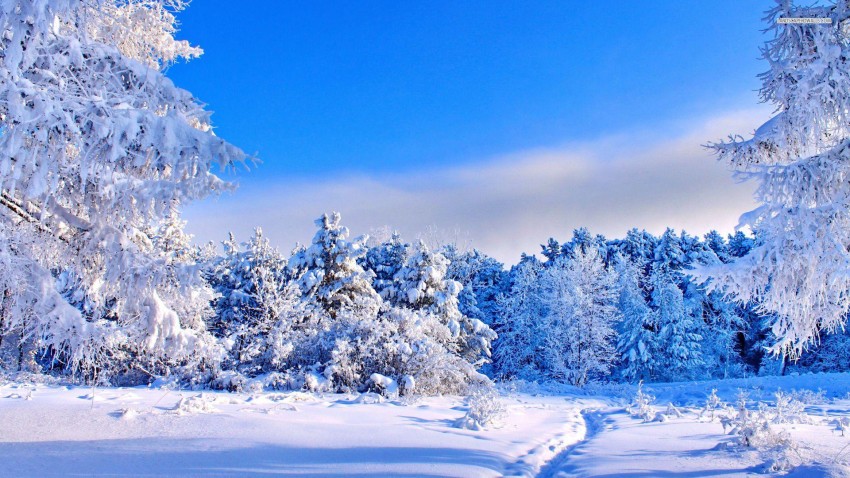 Winter Ice Snow Road Background Full HD Download Free