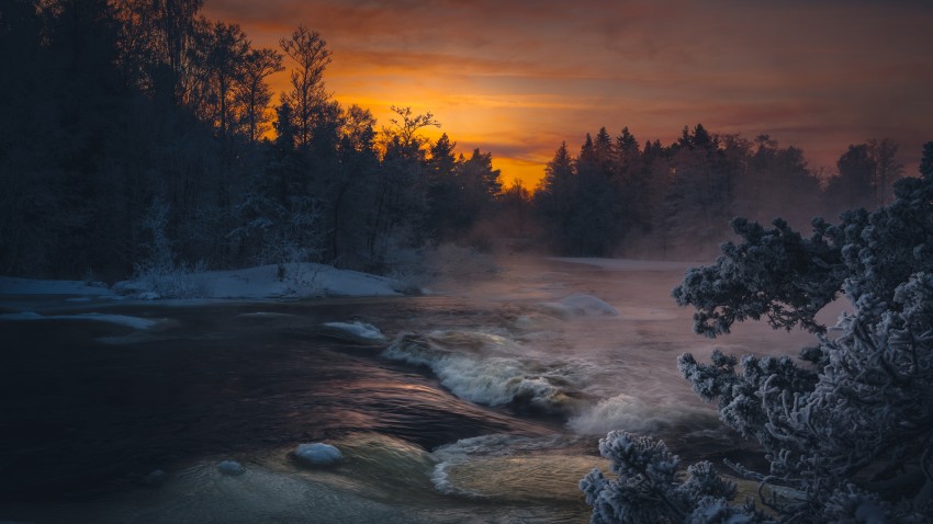 Winter Leak Tree Background HD Download