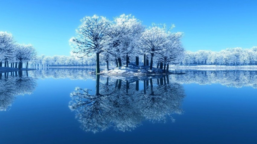 Winter Leak Tree Background HD Download