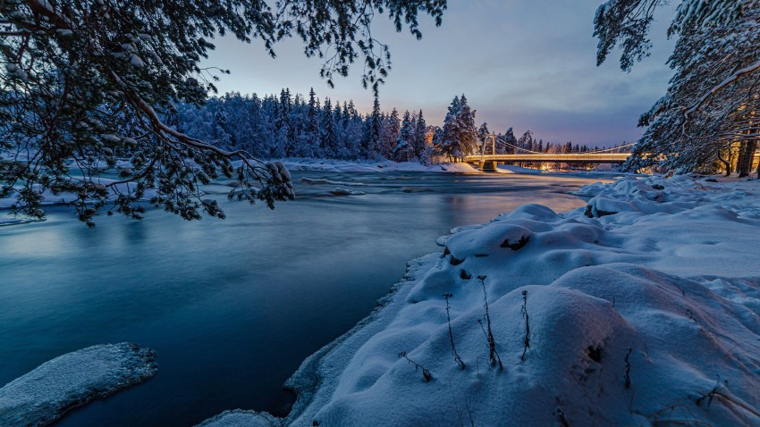 Winter Leak Tree Background HD Download