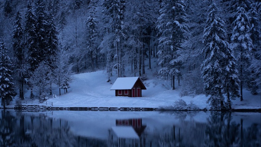 Winter Leak Tree Background HD Download