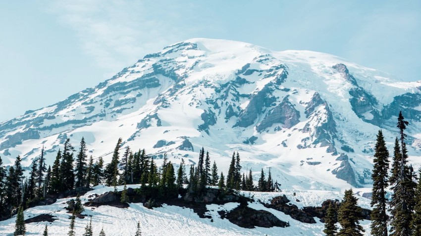 Winter Mountain Tree Background  HD Wallpaper Images