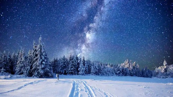 Winter Nigh Sky Forest Background HD Wallpaper Free