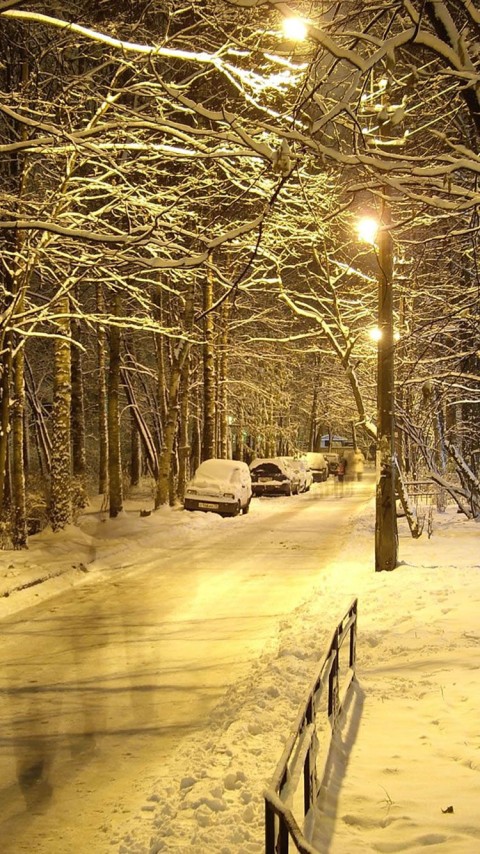 Winter Night Road Background Full HD Download Free