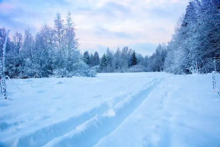 Winter Path Snow Background HD Images Free