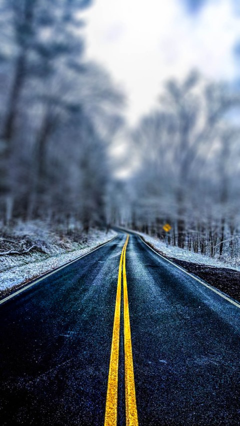 Winter Road Background Full HD Download Free