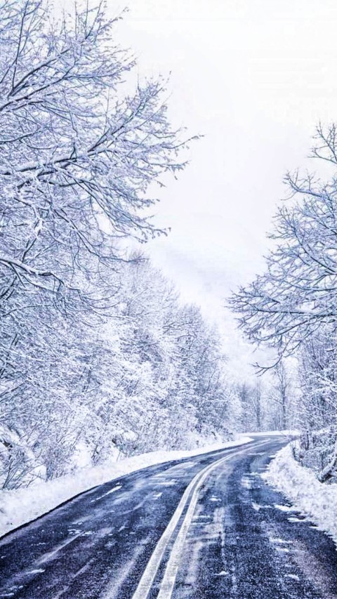 Winter Road Background Full HD Download Free