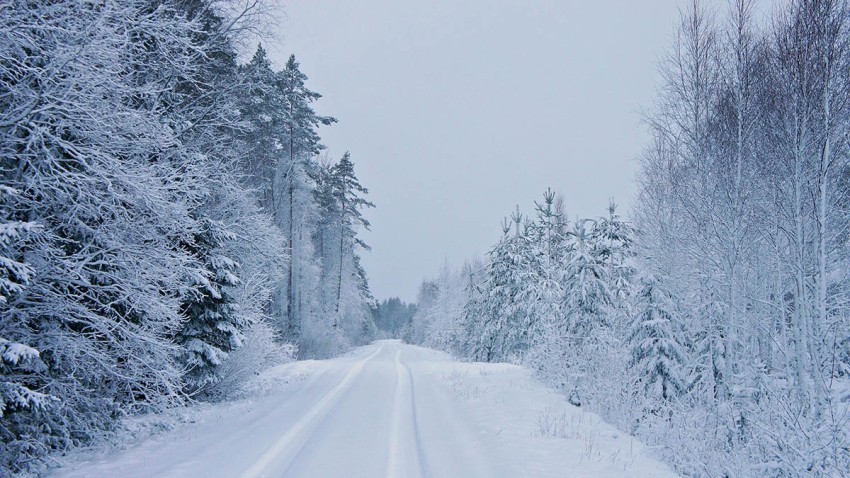 Winter Road Background Full HD Download Free