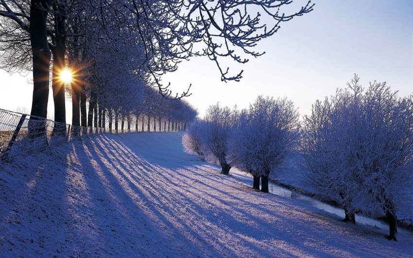 Winter Road Background Full HD Download Free