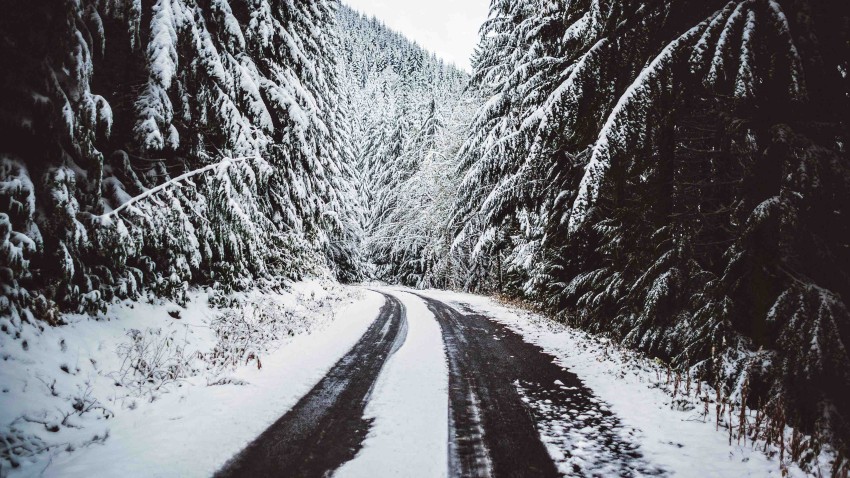 Winter Road Background Full HD Download Free