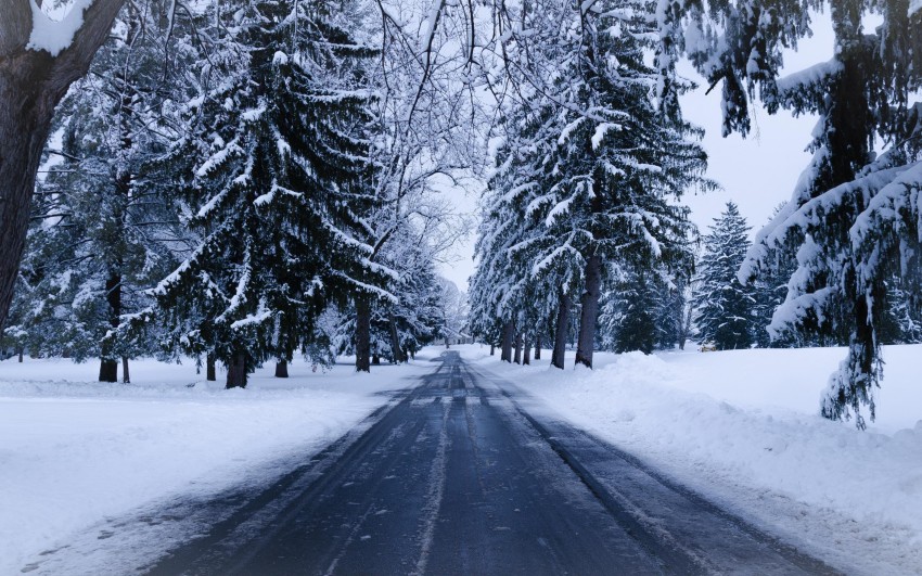 Winter Road Background Full HD Download Free