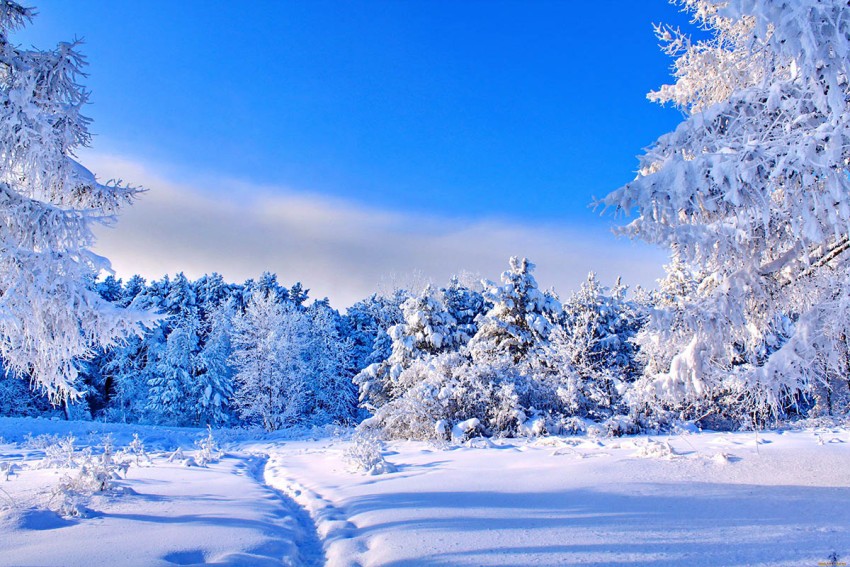 Winter Road Background Full HD Download Free