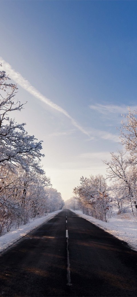 Winter Road CB Background Full HD Download