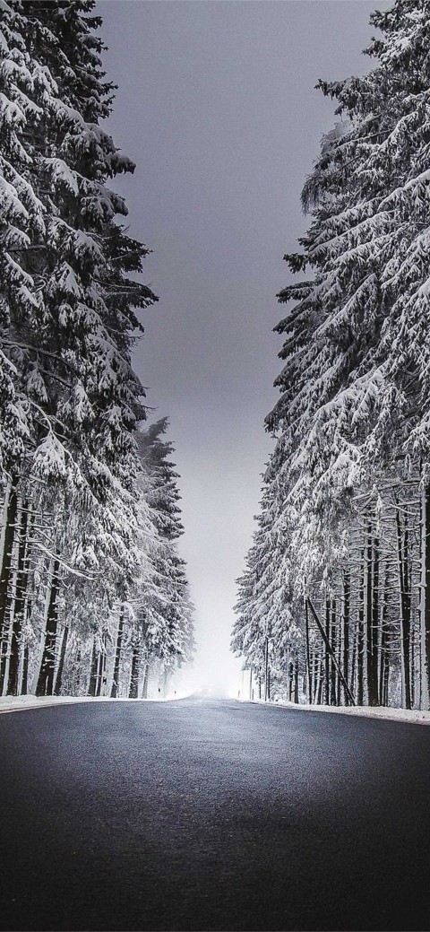 Winter Road CB Picsart Background Full HD