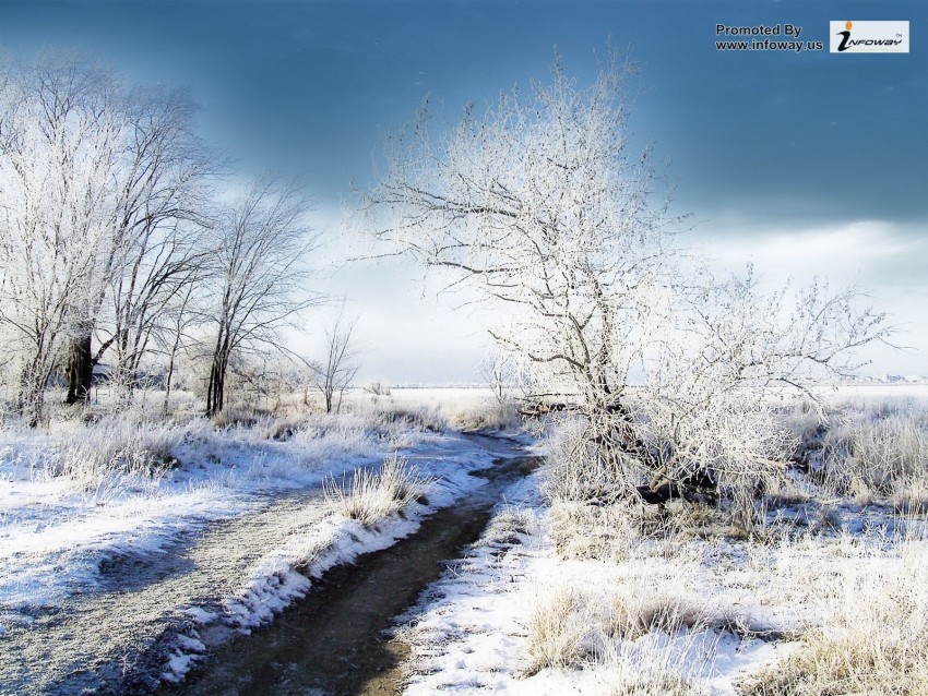 Winter Road Photoshop Editing Background Full HD