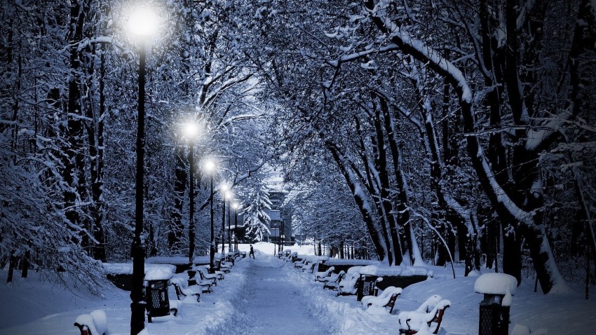 Winter Snow Tree Road Background HD Download Free