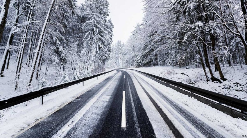 Winter Snow Tree Road Background HD Download Free