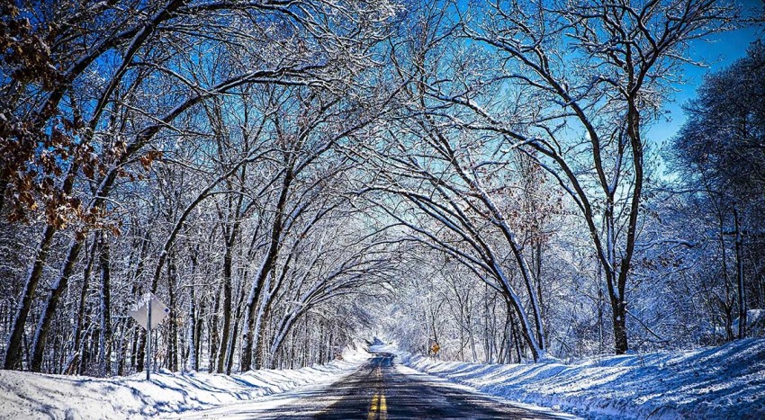 Winter Tree Forest Road Background Full HD Wallpaper