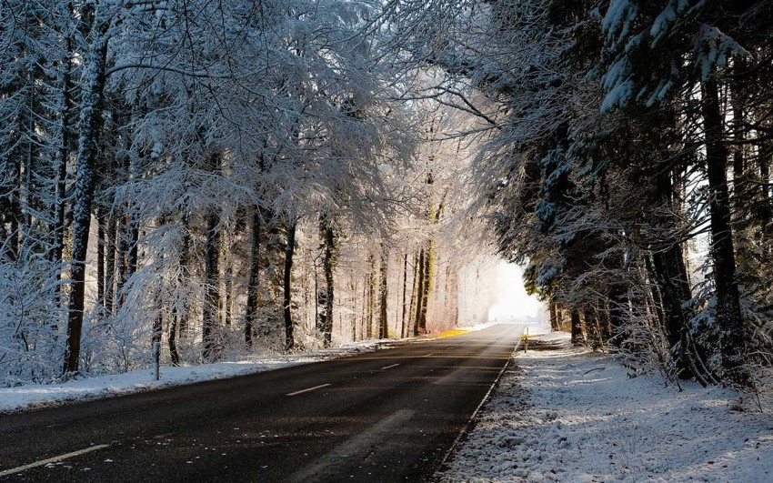 Winter Tree Forest Road Background Full HD Wallpaper