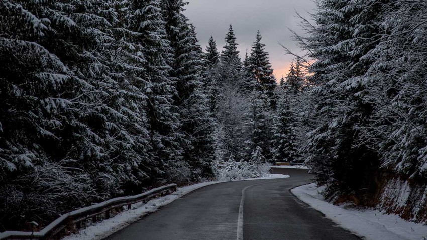 Winter Tree Road Background Full HD Download Free