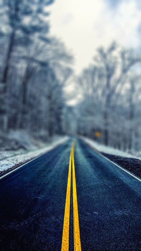 Winter Tree Road CB Picsart Background HD