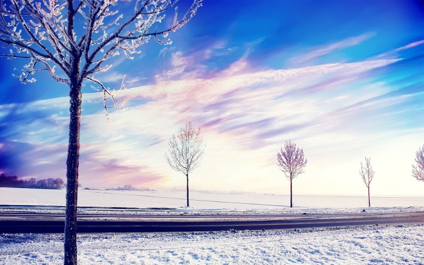 Winter Tree Sky Sunset Background HD Download