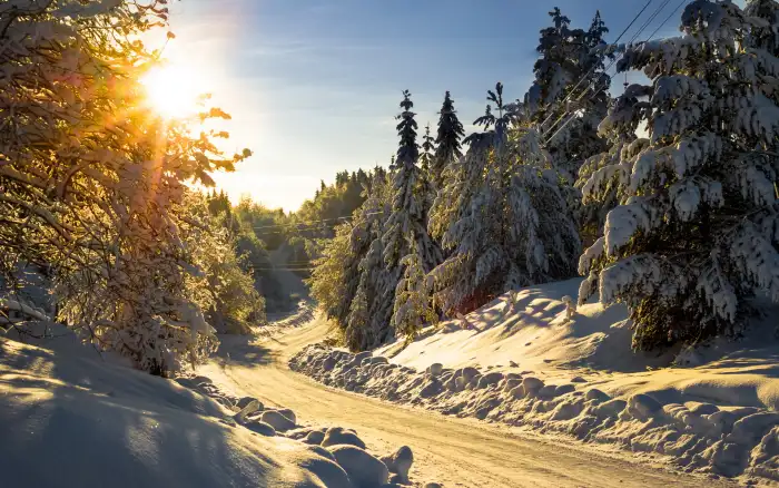 Wintersun Forest Sunrise Road Background HD Wallpaper