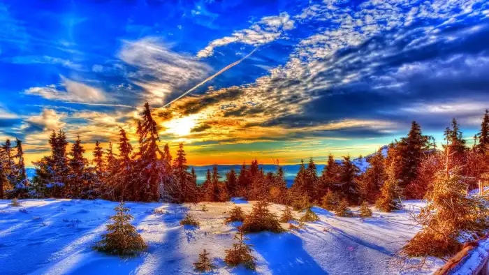 Wintersun Sunrise Sky Forest Background HD Wallpaper