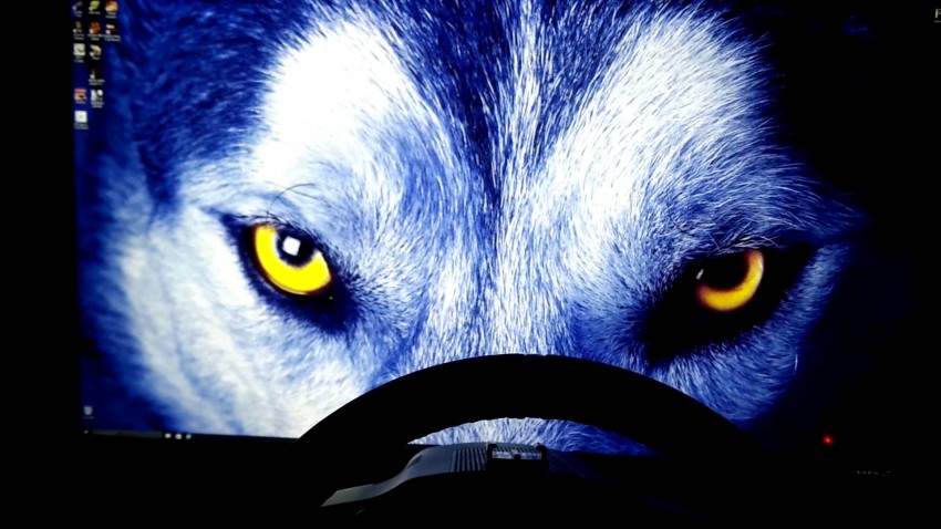 Wolf Face Background Full HD Wallpaper Download