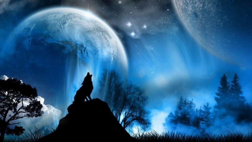 Wolf Moon Background Full HD Wallpaper Download